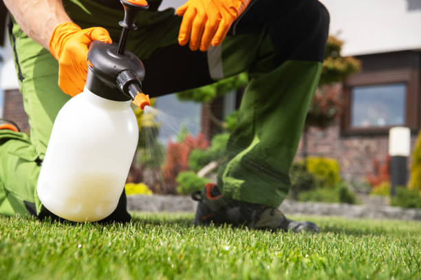 Best Cockroach Control Services  in Eddyville, KY