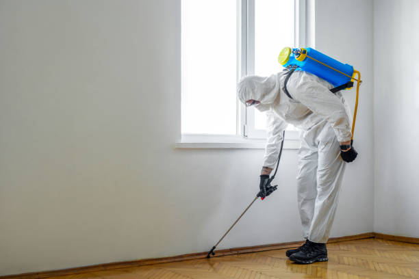 Best Flea Control Services  in Eddyville, KY