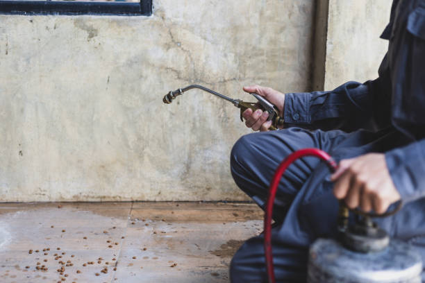 Best Pest Control Near Me  in Eddyville, KY